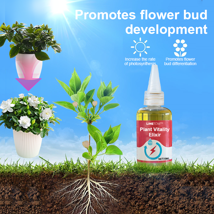 LIMETOW™ Plant Vitality Elixir