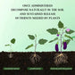 Universal Slow-Release Tablet Organic Fertilizer