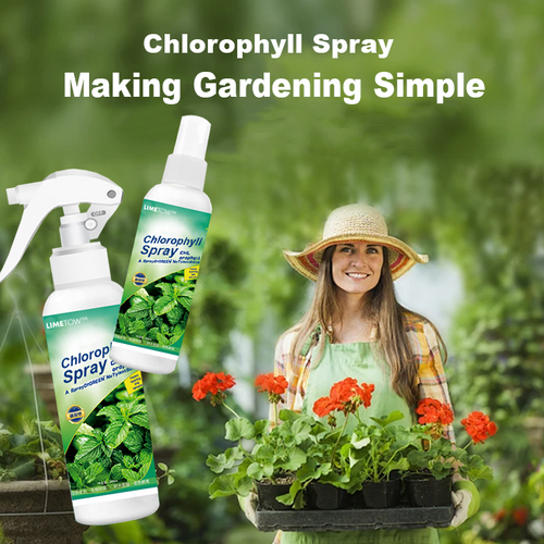 LIMETOW™ Chlorophyll Spray (Special OFFER)